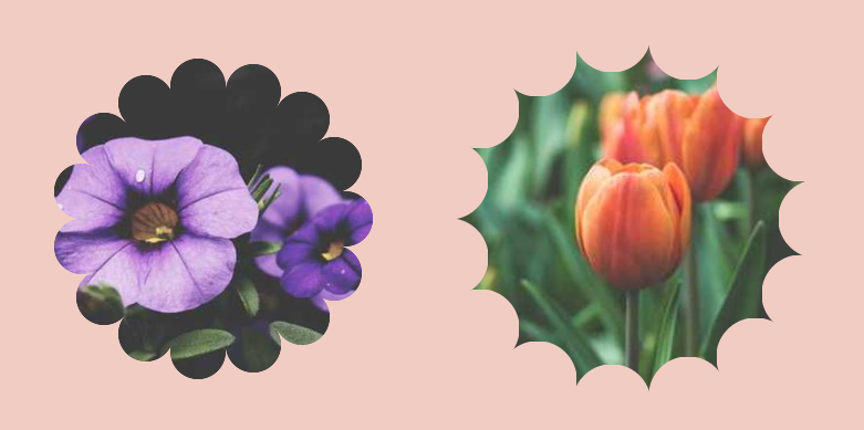 CSS-only flower shapes