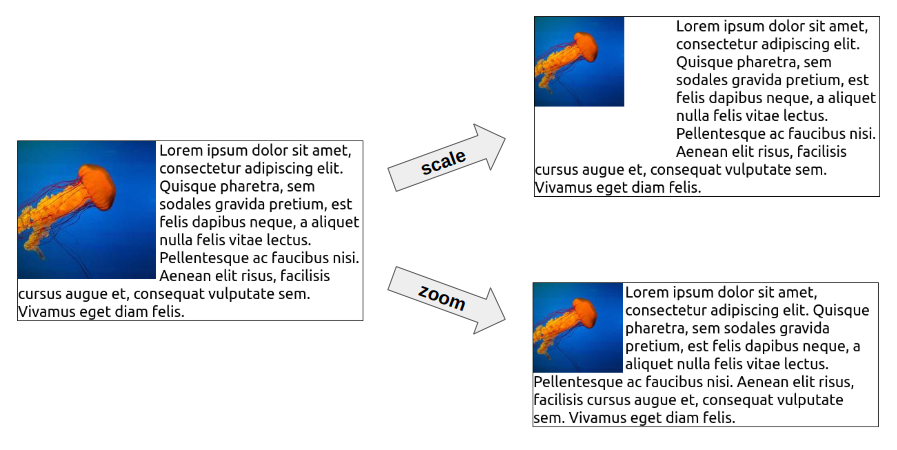 difference between the zoom property and the scale property