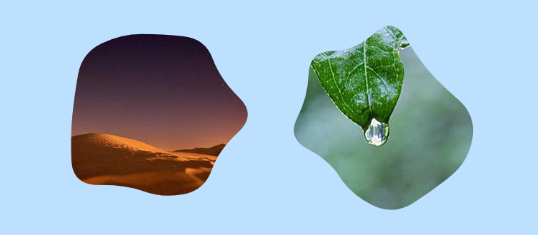 CSS-only blob shape